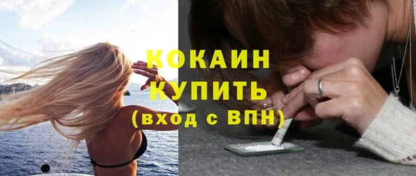 прущие грибы Арсеньев