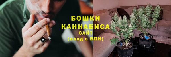 прущие грибы Арсеньев