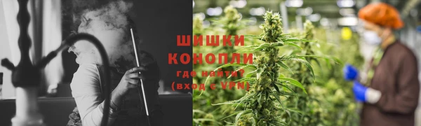 прущие грибы Арсеньев