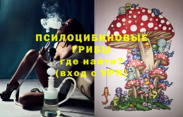 прущие грибы Арсеньев