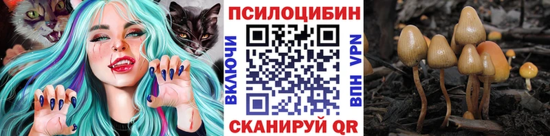 Галлюциногенные грибы GOLDEN TEACHER Фокино