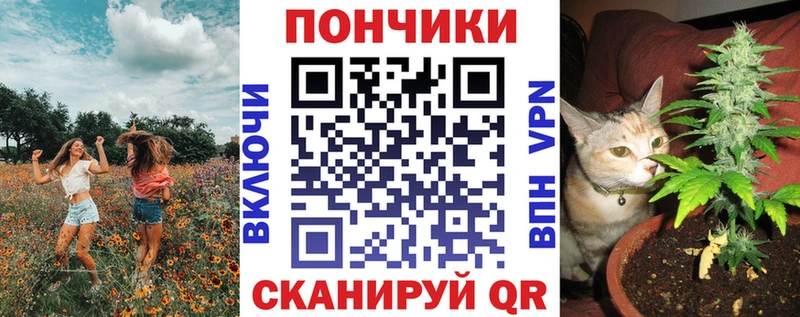 Бошки марихуана марихуана  сколько стоит  блэк спрут маркетплейс  Фокино 